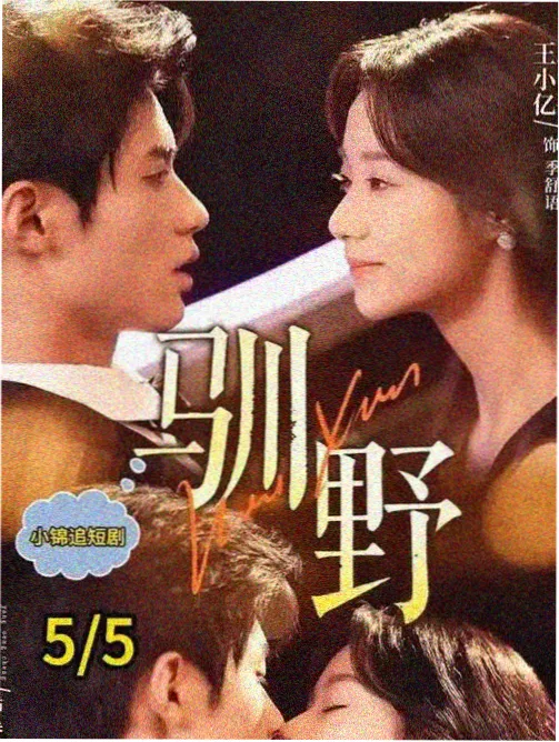 长安夜行录 怀旧电视剧在线观看